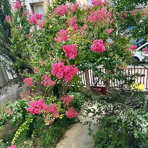 petit-f3-au-grenier-dune-maison-apartment-massy.fr-paris.fr/